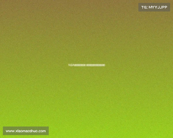 NBA全场精彩回顾视频 分析每个关键时刻与战术布置